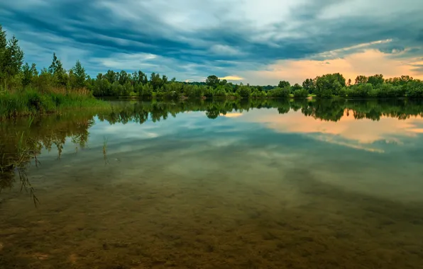 Картинка вода, деревья, река, поток