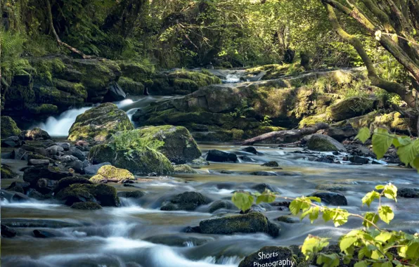 Великобритания, Уэльс, Rhondda Cynon Taff