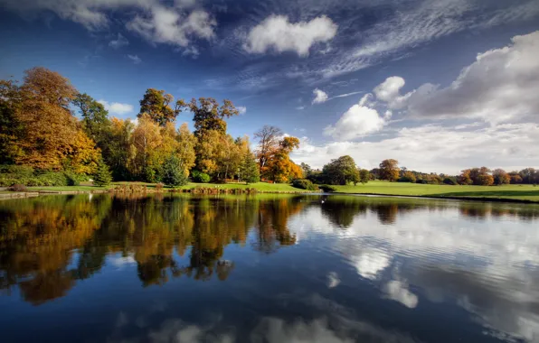 Картинка облака, деревья, водоем