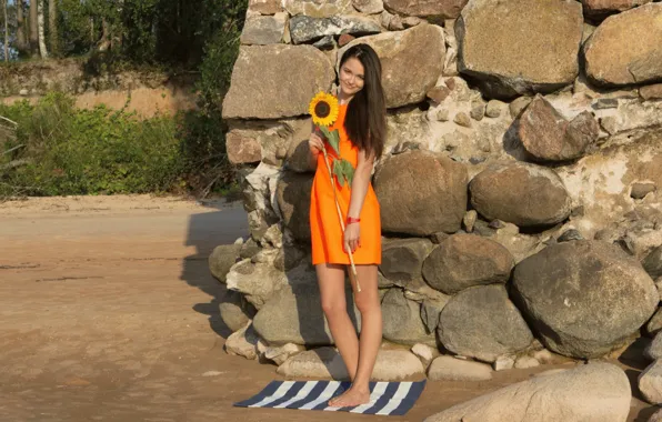 Girl, long hair, dress, legs, trees, nature, beautiful, pretty