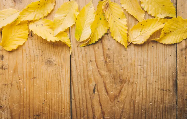 Осень, листья, фон, дерево, доски, yellow, wood, background