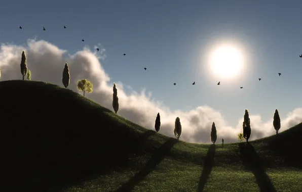 Картинка трава, солнце, деревья, птицы, холмы