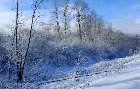 Картинка Зима, Снег, Мороз, Winter, Frost, Snow, Сугробы