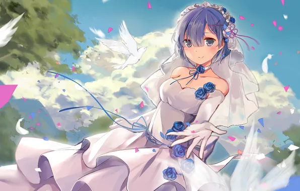 Картинка голуби, фата, anime, art, свадебное платье, Rem, Re: Zero kara Hajimeru Isekai Seikatsu
