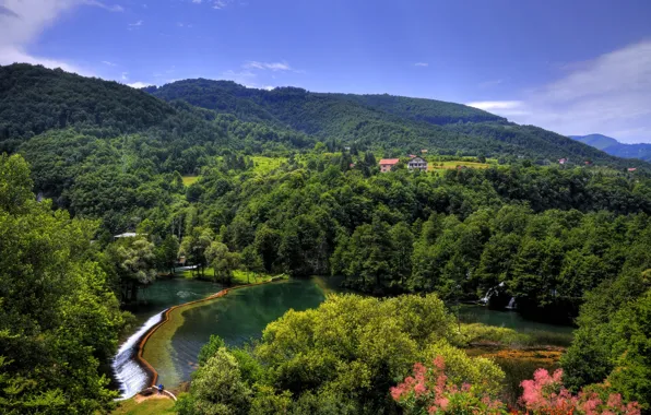 Лес, деревья, природа, река, холмы, Босния и Герцеговина, Pliva Jajce