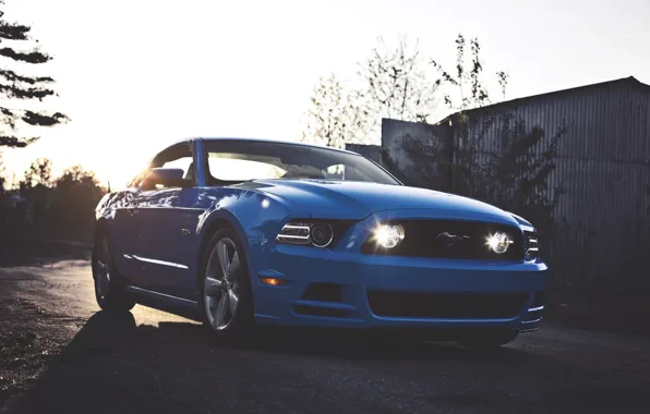 Mustang, Ford, Форд, Muscle, Мустанг, Car, Blue, 5.0