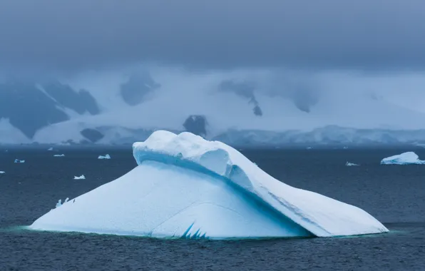 Misty, sea, mountain, snow, seagull, foggy, iceberg, ice floes