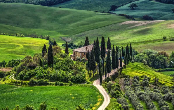 Дорога, деревья, пейзаж, природа, дом, Италия, луга, Тоскана