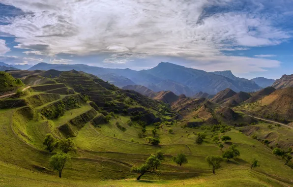 Картинка пейзаж, горы, природа, поля, террасы, Юлия Шумляева