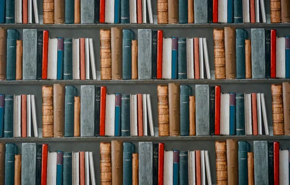 Книги, полка, библиотека
