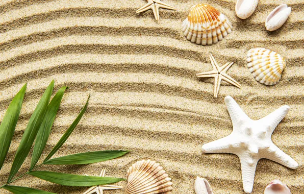 Песок, пляж, фон, ракушки, beach, texture, background, sand