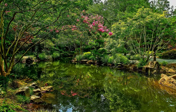 Картинка фото, Природа, Пруд, Кусты, Парк, США, Gibbs Gardens