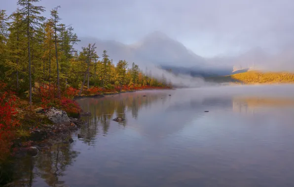 Картинка осень, лес, пейзаж, горы, природа, туман, берег, Владимир Рябков