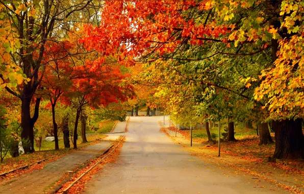 Дорога, Осень, Деревья, Fall, Листва, Autumn, Colors, Road