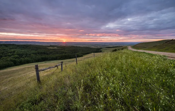 Картинка трава, забор, Природа