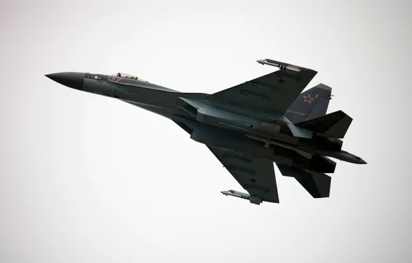 Истребитель, Су-35С, многоцелевой, Сухой, ВВС России, Flanker-T+, MAKS-2013
