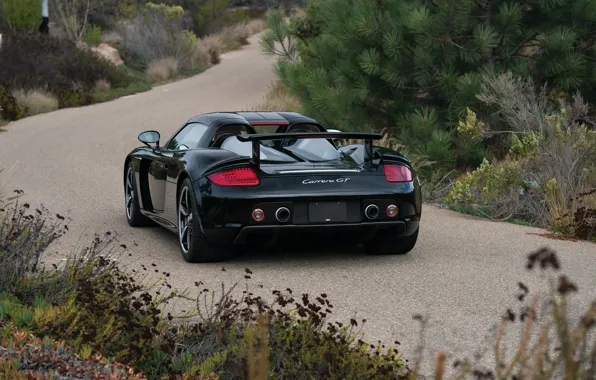 Картинка Porsche, Porsche Carrera GT, rear view