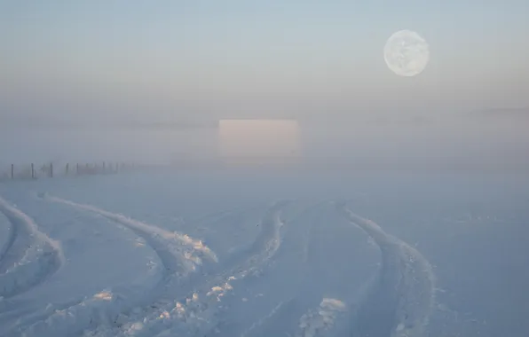 Картинка зима, поле, пейзаж, туман