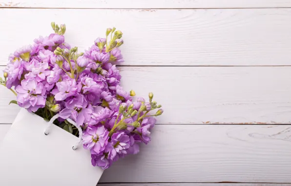 Цветы, wood, flowers, spring, violet