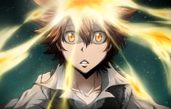 Огонь, арт, Sawada Tsunayoshi, Katekyo Hitman REBORN!