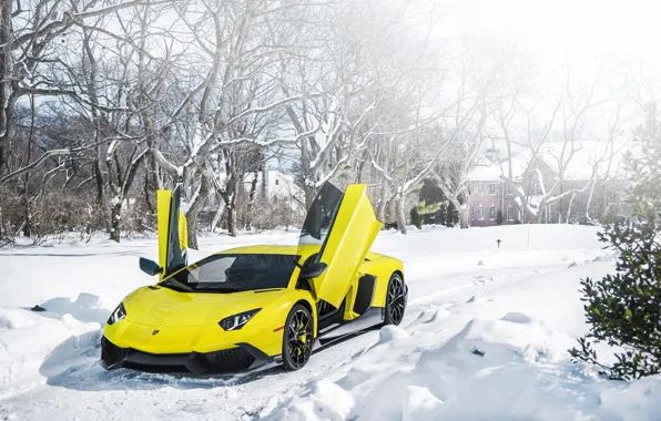 Картинка Lamborghini, Снег, Ламборджини, Двери, Snow, Yellow, Aventador, Авентадор