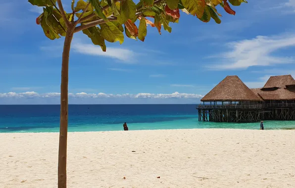 Пляж, небо, облака, океан, отдых, спокойствие, Zanzibar, остров Занзибар