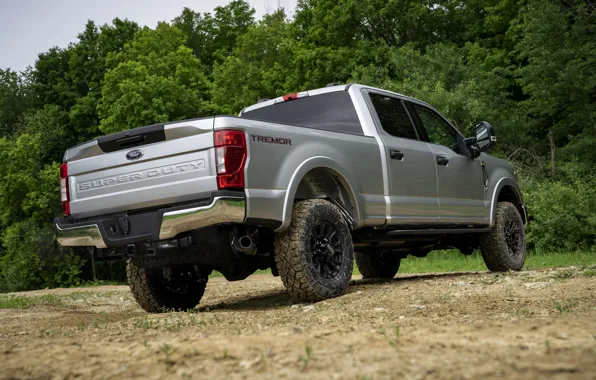 Картинка серый, Ford, пикап, Super Duty, F-350, Tremor, 2020, Off-Road Package