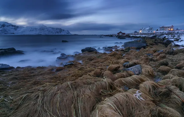 Норвегия, Norway, Lofoten