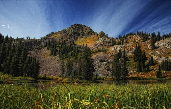 Картинка лес, трава, озеро, гора, the grass around lake martha