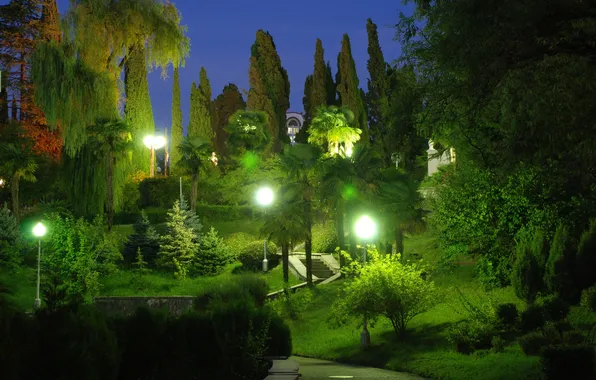 Картинка деревья, парк, вечер, фонари