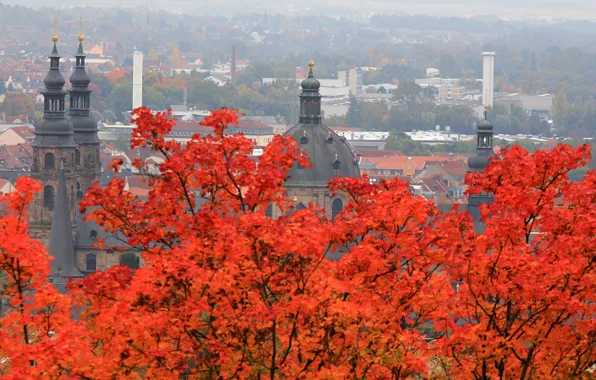Осень, листья, деревья, пейзаж, Германия, панорама, собор, Гессен