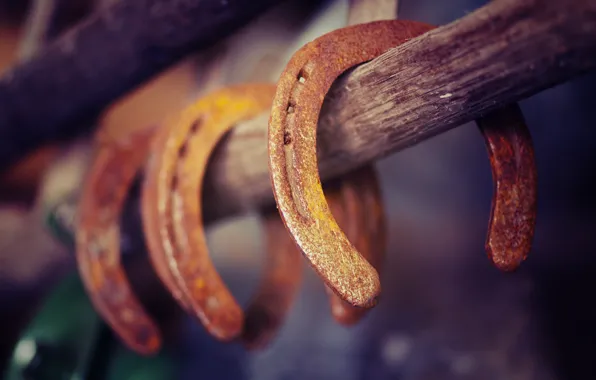 Rust, horseshoe, luck