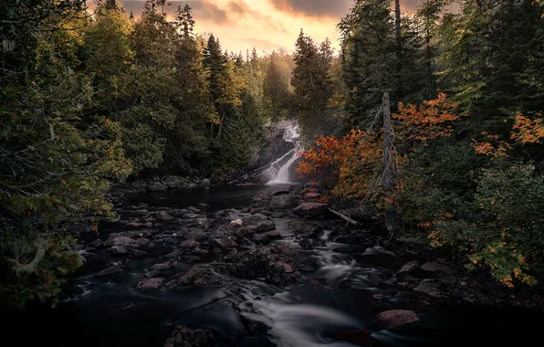 Осень, лес, река, ручей, камни, водопад, ели, берега