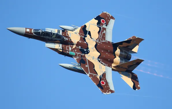 Истребитель, Mitsubishi, F-15DJ