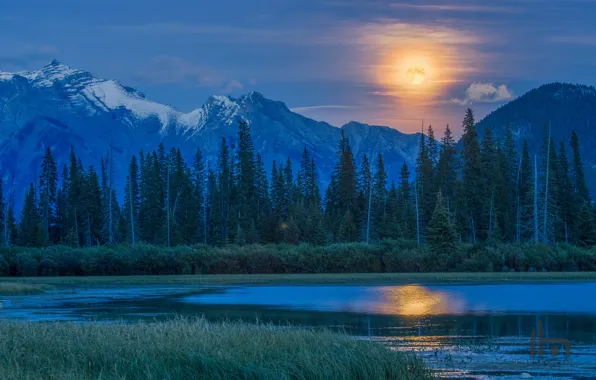Картинка лес, горы, озеро, луна, Канада, полнолуние, Vermillion Lake