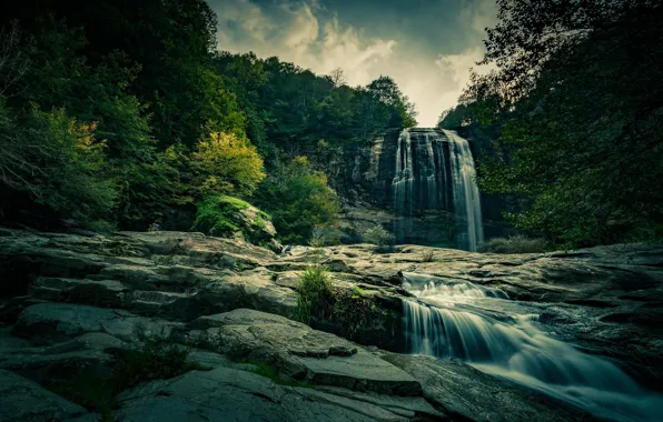 Картинка лес, водопад, поток