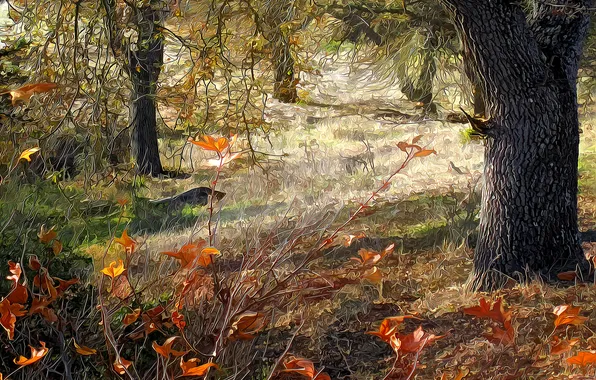 Картинка осень, лес, деревья, рендеринг