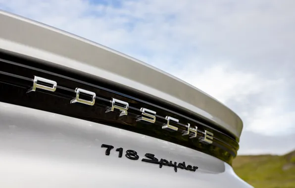 Porsche, Spyder, Porsche 718, 2019, Porsche 718 ( 982 ) Spyder