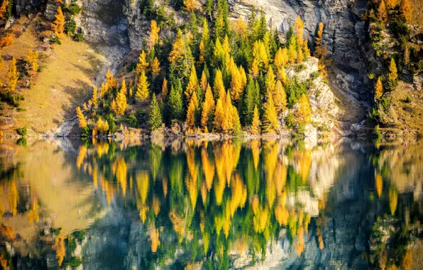 Картинка trees, nature, autumn, adorable reflection