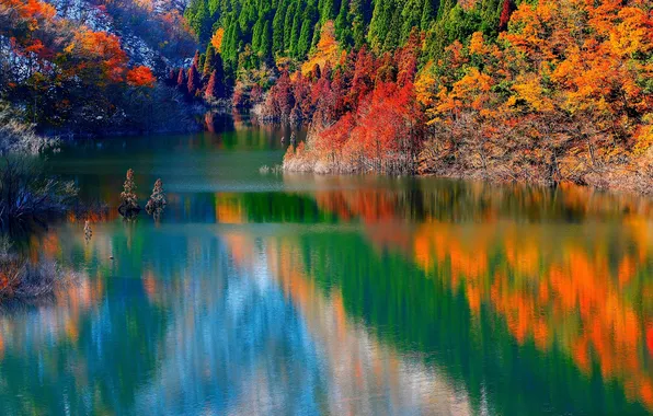 Картинка осень, деревья, горы, озеро, отражение, склон