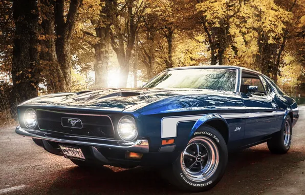 Картинка Mustang, Ford, Синий, Форд, 1971, Мустанг, Mach 1, Muscle Car