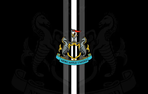 Wallpaper, England, Newcastle United FC