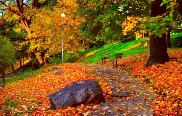 Картинка листья, деревья, парк, Осень, дорожка, листопад, скамейки, trees