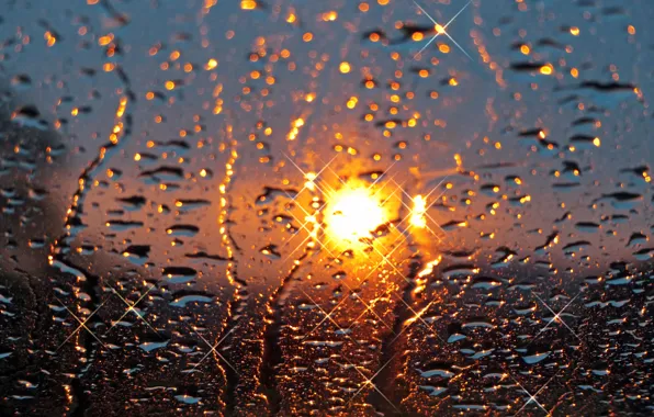 Картинка стекло, солнце, капли, закат, дождь