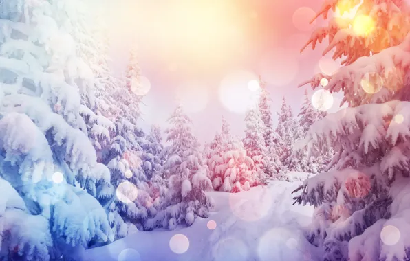 Картинка зима, лес, снег, снежинки, елка, nature, winter, snow