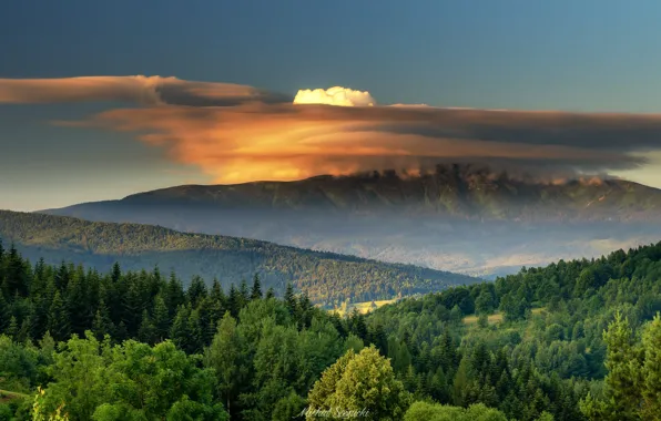 Картинка лес, облака, деревья, горы