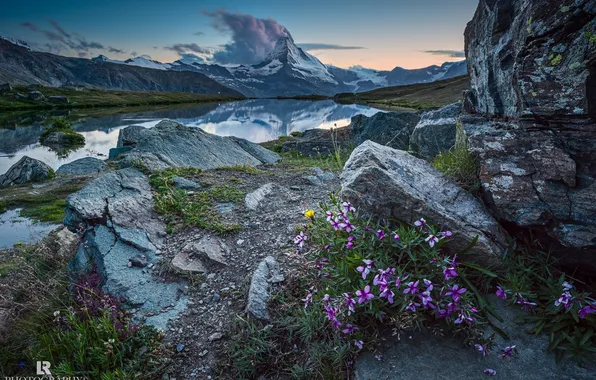 Облака, цветы, горы, природа, озеро