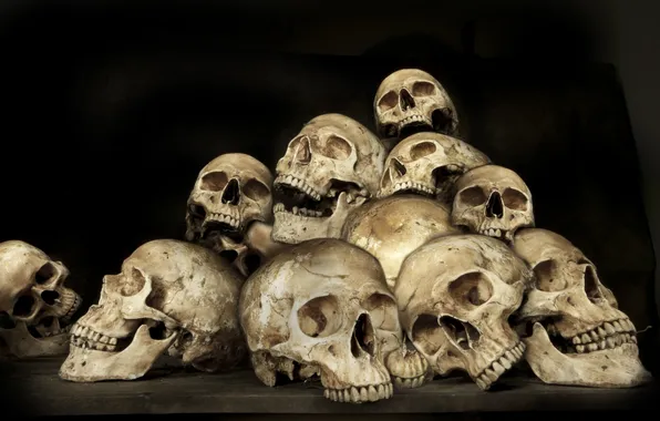 Skull, yellow, humans, many bones