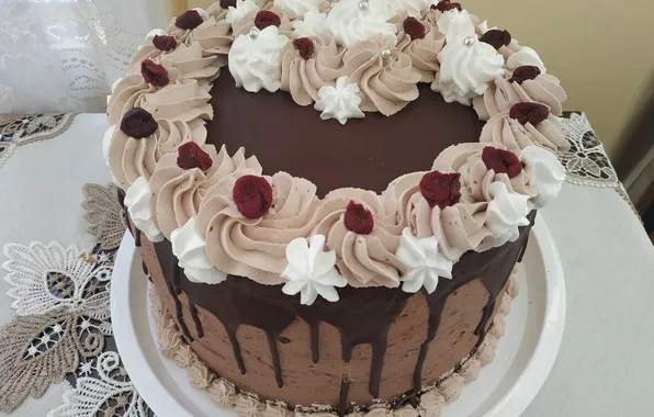 Cake, chocolate, whipped cream