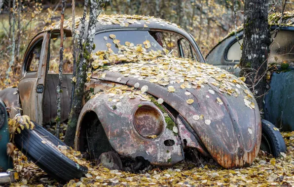 Машина, фон, лом